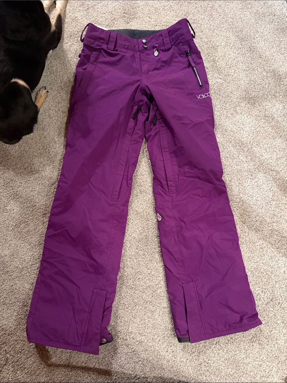 Volcom Purple Snow Pants XS